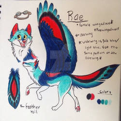 Rae reference sheet 