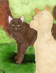 Sasha and Tigerstar