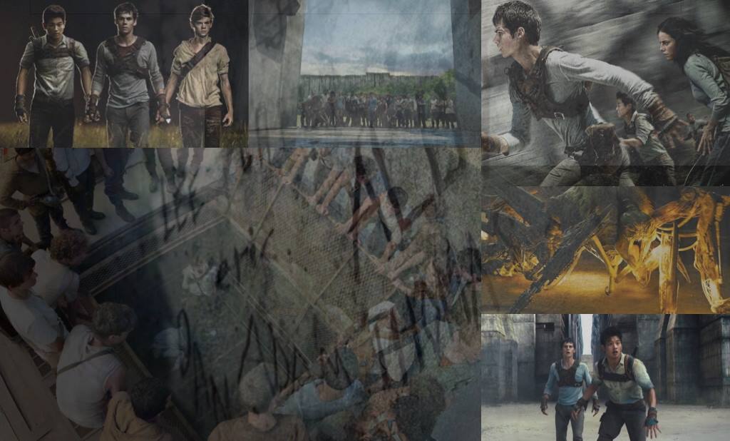 Maze Runner Edit