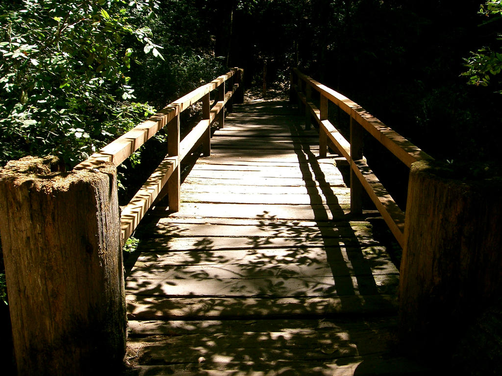 Mystical Passageway