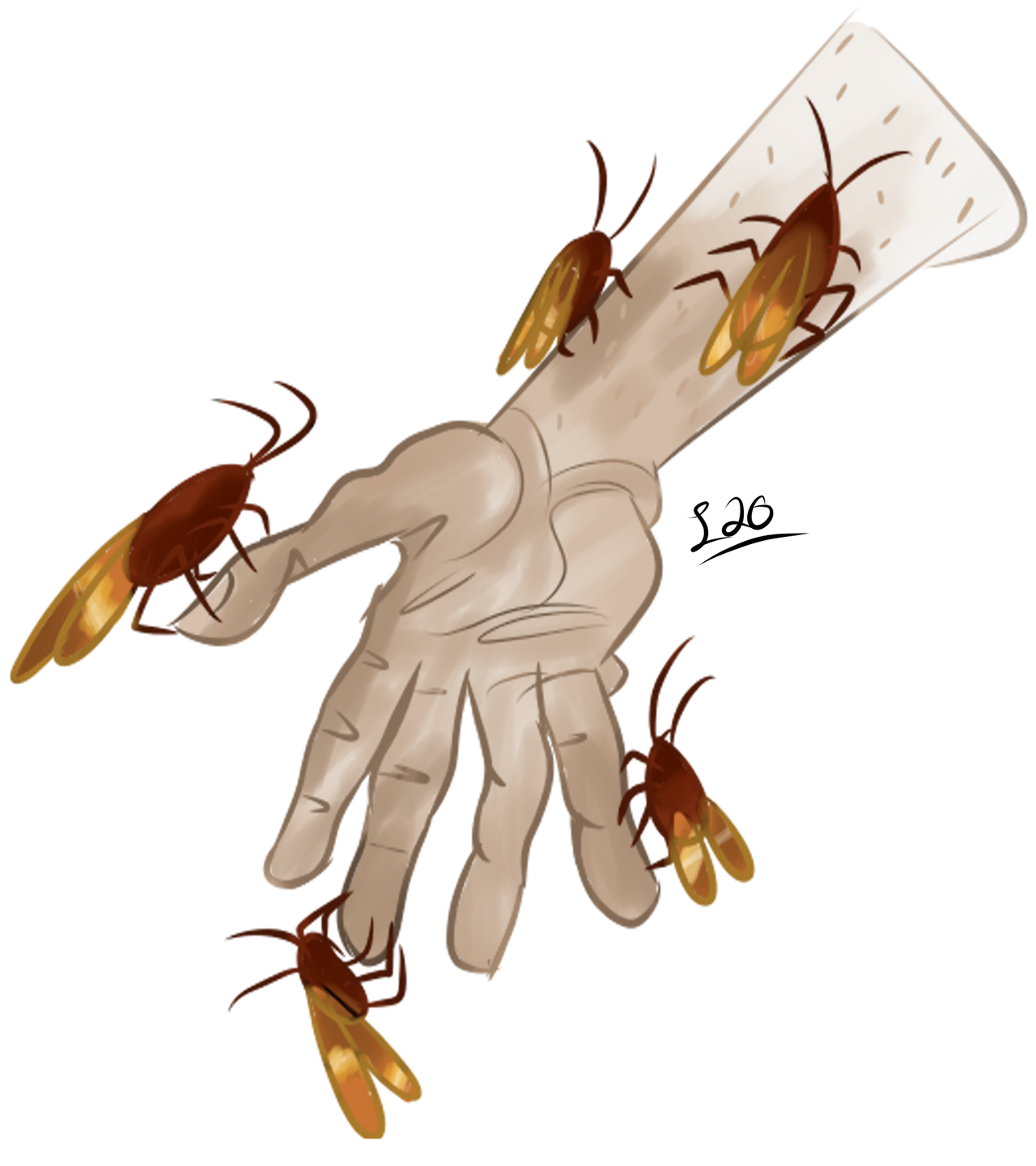 Cockroach king! Art fight 2020! by 7uxK on DeviantArt