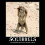 Squirrel motivator