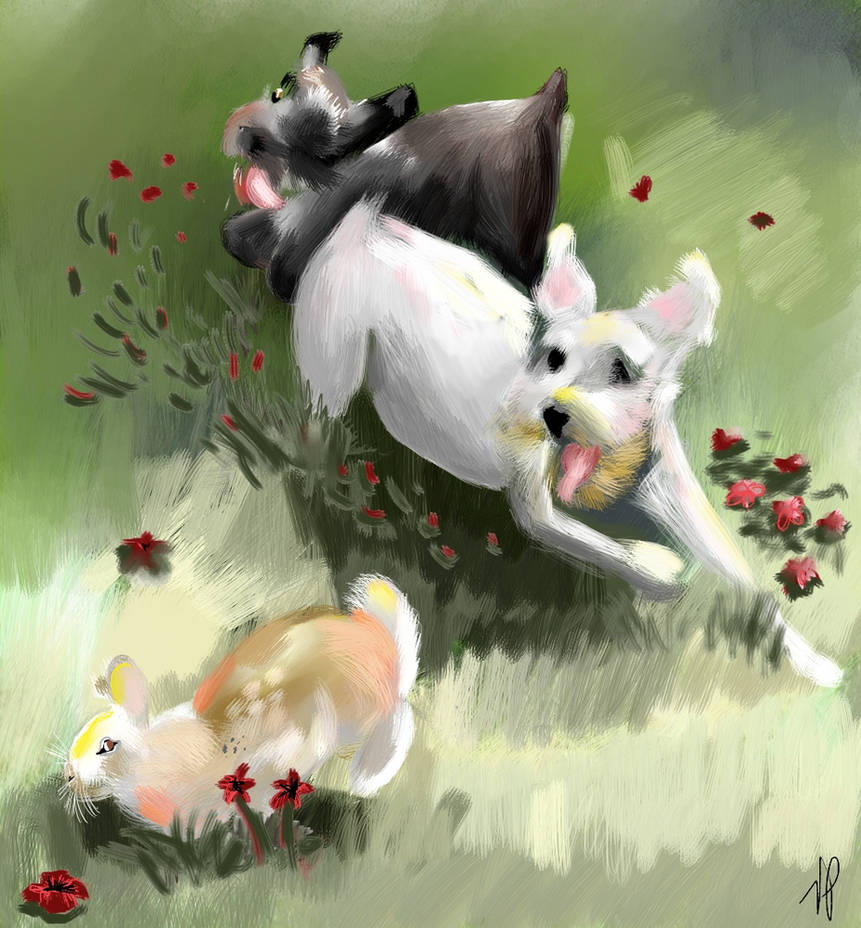 Chasing Rabbits by Phantom-Firefly on DeviantArt