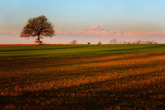 Monviso