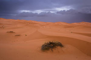 Rain and sand