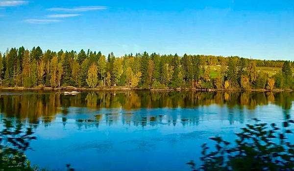 Norwegian Autumn Riverside - 4