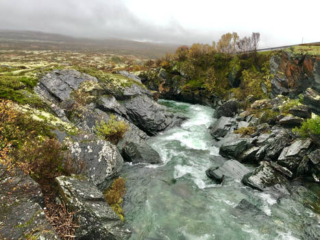 Norwegian Autumn Mountain Stream
