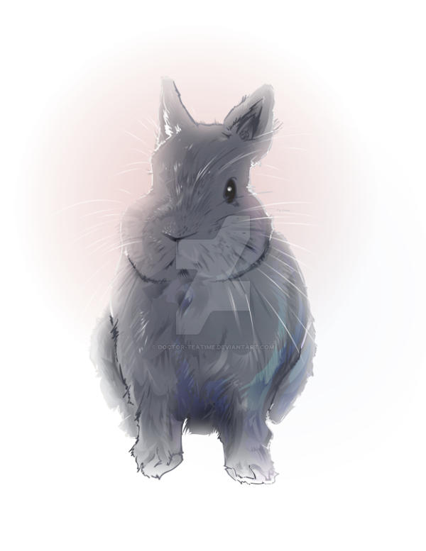 Talking Rabbit Deviantart Portrait of a rabbit by Doctor-Teatime on DeviantArt
