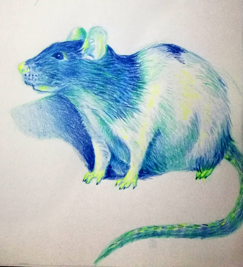 Artist Rattery Ratty by graffiti-blaze on DeviantArt