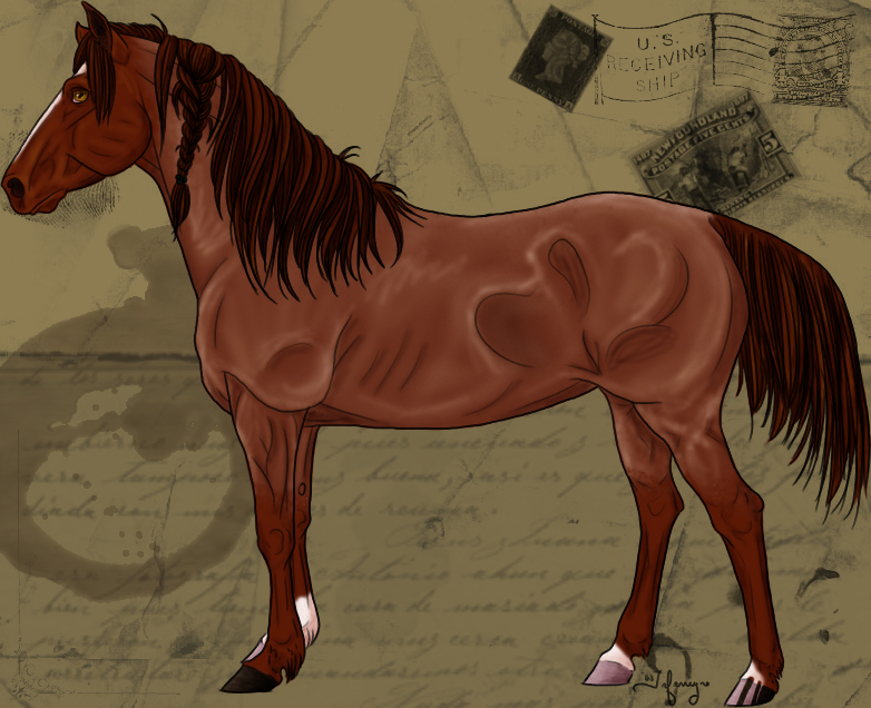 Red Roan Spanish Mare