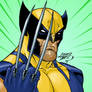 Wolverine COLORED 2015