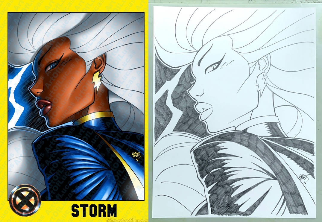 Storm Art Auction Ends TODAY by artoflucas on DeviantArt