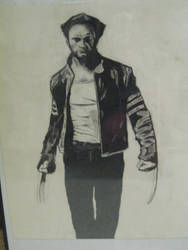 Wolverine