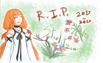 R.I.P. Strelitzia 2017 - 2017