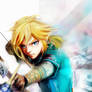 Link _The Legend of Zelda Breath of the Wild