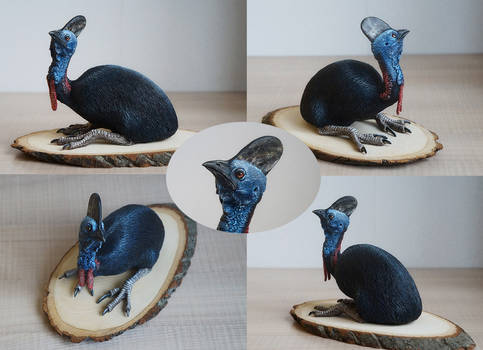 cassowary