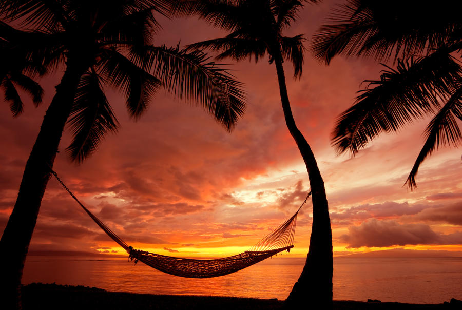 Hammock on a Sunset