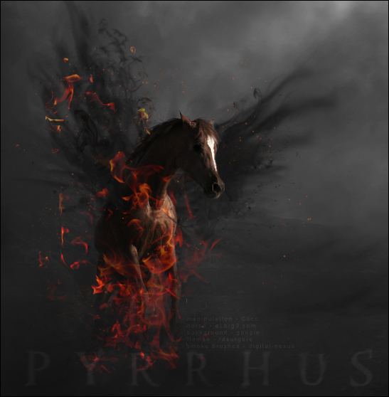 Pyrrhus