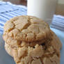 Peanut Butter Cookies