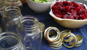 DIY Canned Pickles and Beets