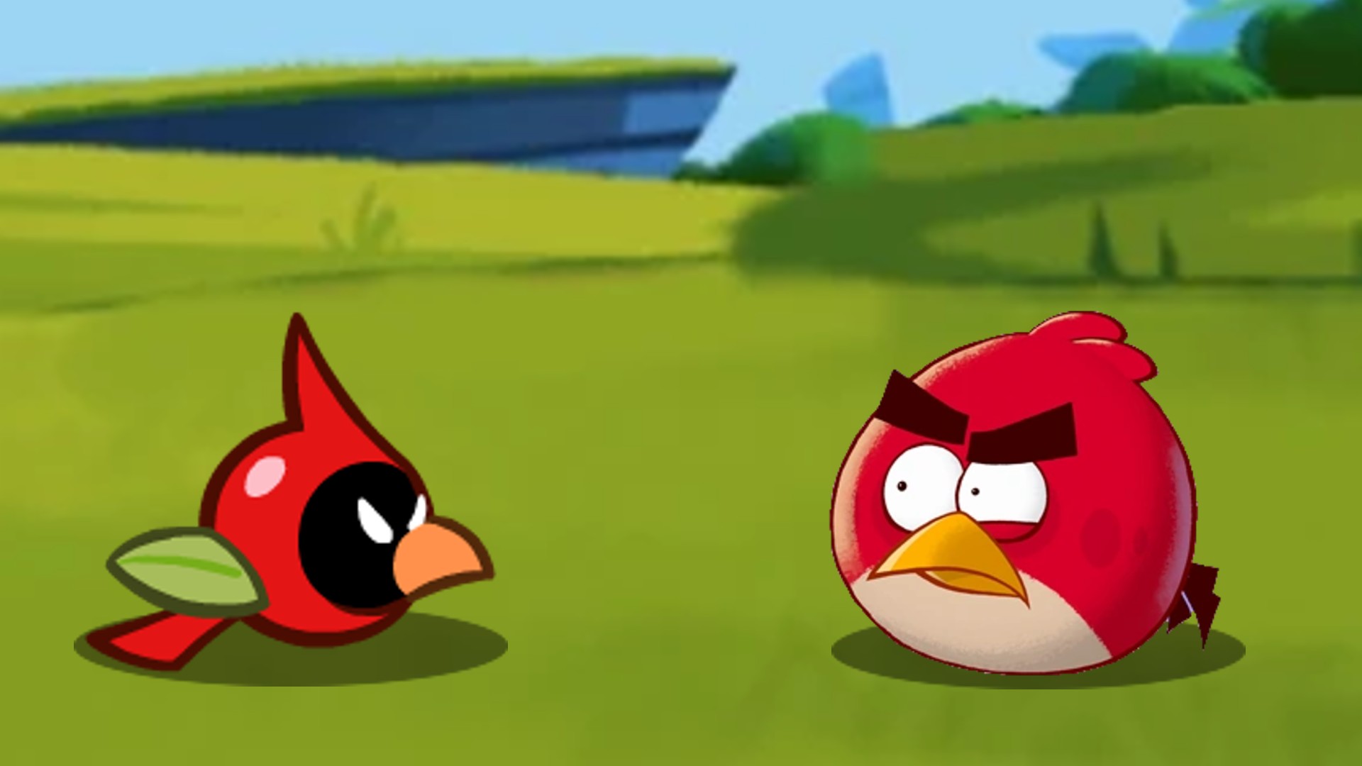 Red Meets Berry Angry Beak by kjbo8 on DeviantArt