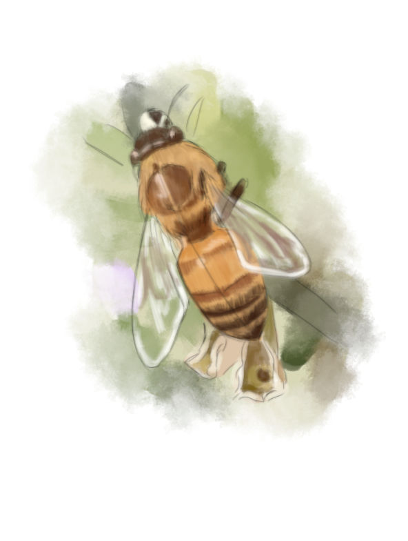 Bee Deviantart Style Bee by Strige on DeviantArt
