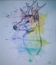 deer aquarelle