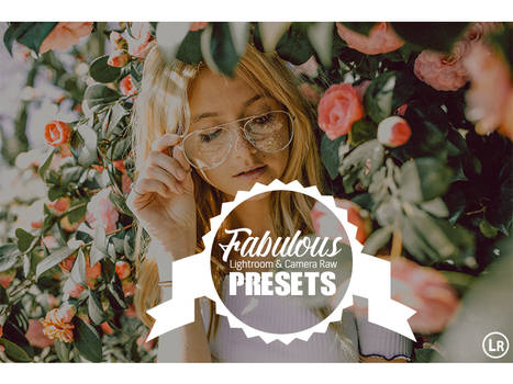 35 Fabulous Collection Presets Lightroom and ACR