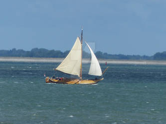 A Boat Trip on a Sunny Day