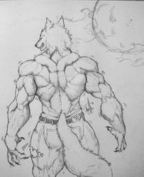 Sketch 3 - Wolfy