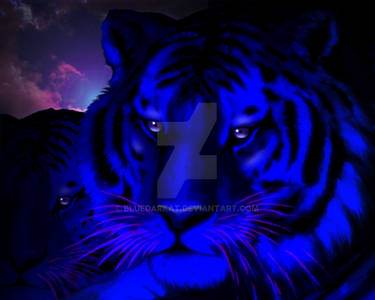 Dark Blue Tigers