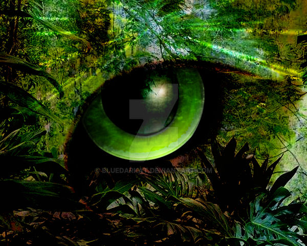Nature Look