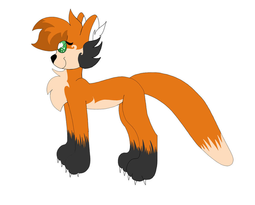 .:Red Panda Wolf Design:. by Cosmic-Cat97 on DeviantArt