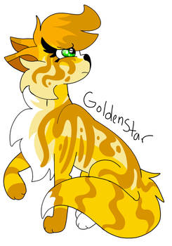 .:Warriors OC- Goldenstar:.