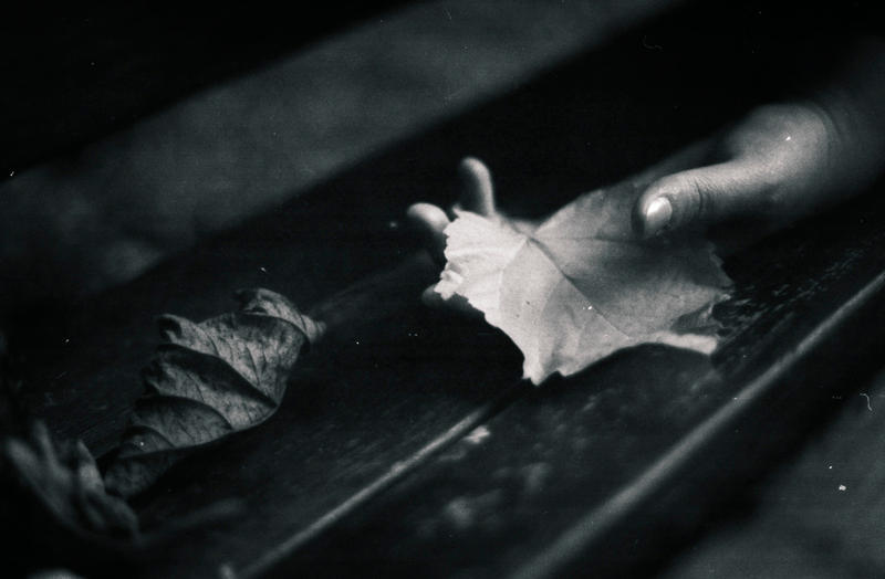 Drying leaves...