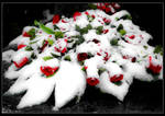 Funeral Roses by ZSudeta