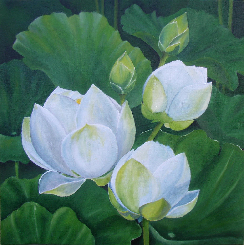 Lotuses III