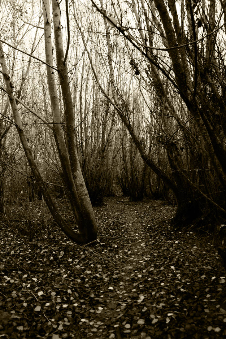 path not taken by teranalin on DeviantArt