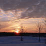 Winter Sunrise at the Park