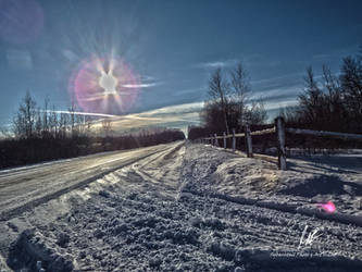 Winter's Bite of a Country Road