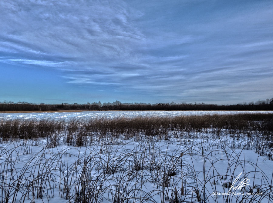 Down At The Frozen Marsh HDR