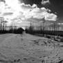 Winter Fields BW