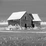 Little House On The Snowy Plain