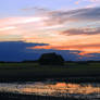 Sunset Over The Field