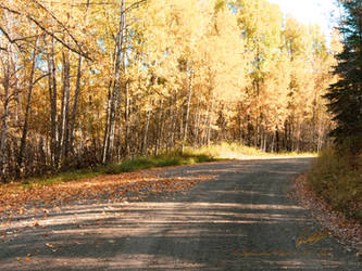 Around An Autumn Road