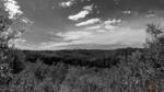 Willow Creek Valley HDR Pano bw by Sybaristail