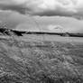 Grasses By Paddle River Reservoir