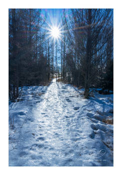 Icy Walk Into The Sun
