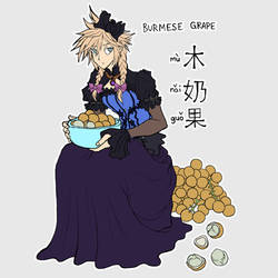 VF1 | Burmese grapes - Cloud Strife