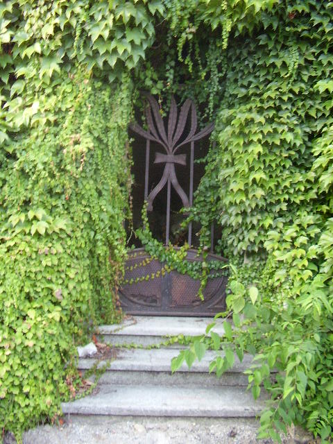 Ivy door